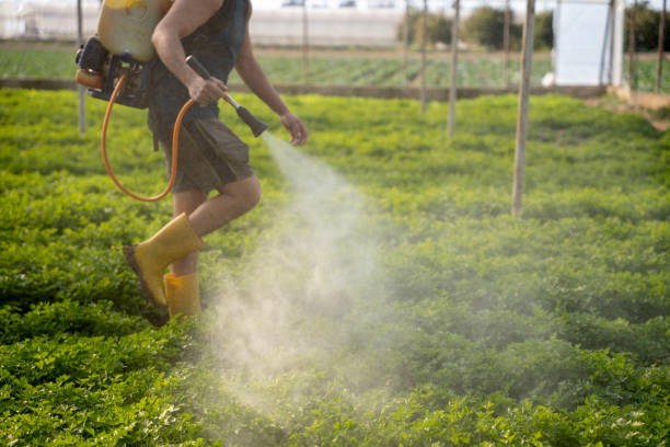 Best Residential Pest Control  in Montauk, NY