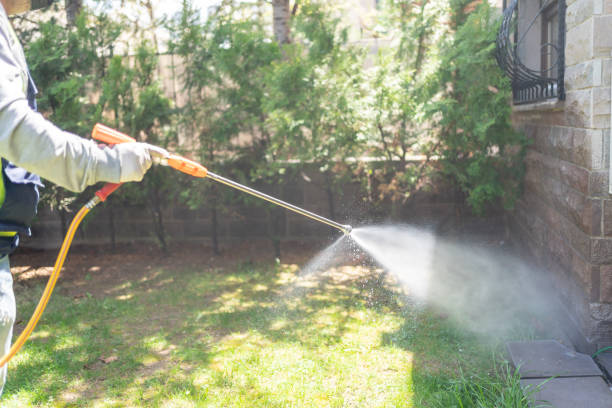 Reliable Montauk, NY Pest Control Solutions